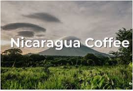 Nicaragua Fair Trade Organic Culture Coffee